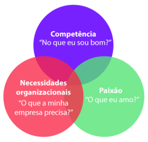 elementos do pdi